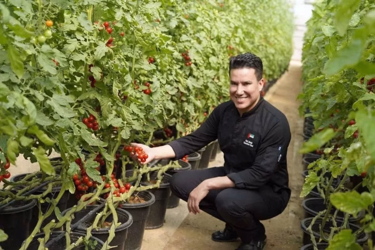 Oaks Ibn Battuta Gate Hotel Launches Sustainable F&B Initiatives to Reduce Carbon Emissions & Waste